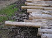 Vuren logs